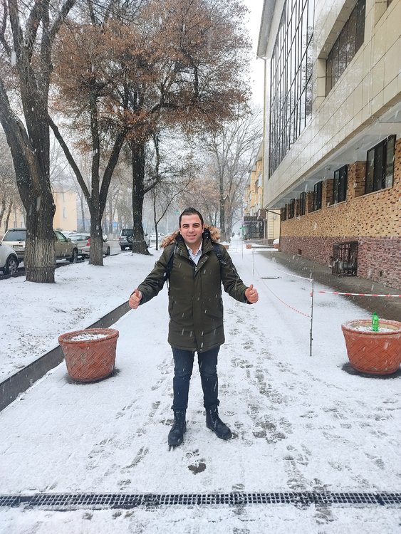 Толга 34 автобус. Толга 34 автобус