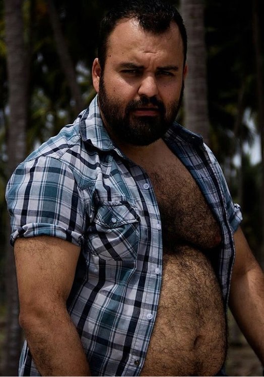 Dad bear. Дэдди Беар. Bear мужик. Волосатый Арсен. Чабы мужчины.