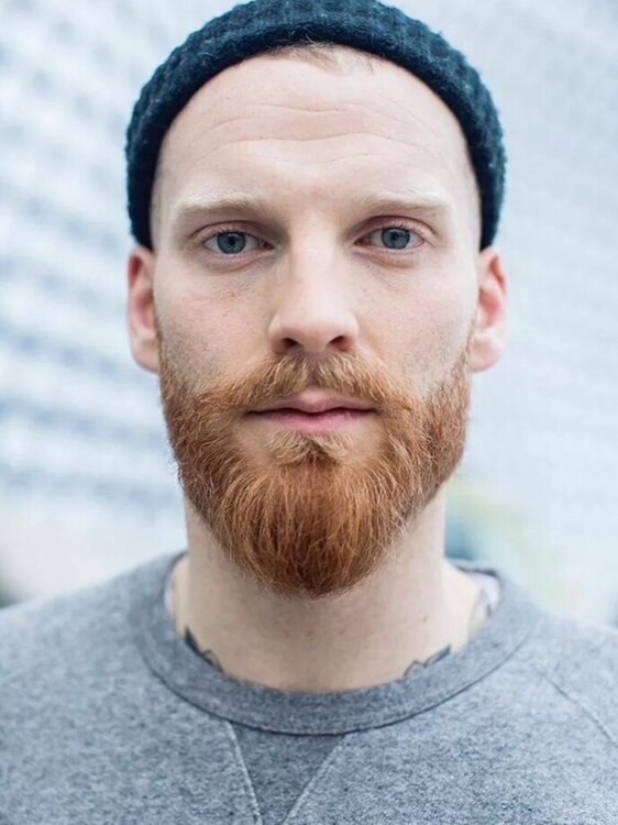 Рыжая борода. Рыжая борода у мужчин. Gwilym pugh. Борода становится рыжей. Прически с рыжей бородой.